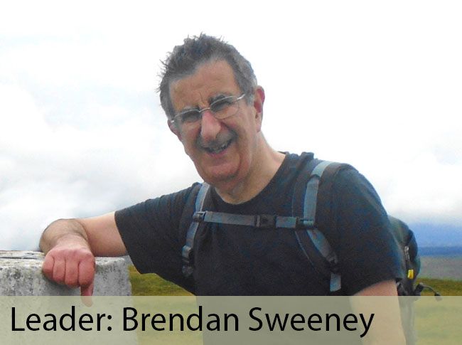 Leader: Brendan Sweeney